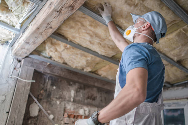 Best Commercial Insulation in Heathrow, FL