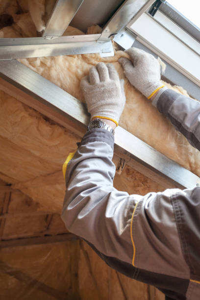 Types of Insulation We Offer in Heathrow, FL