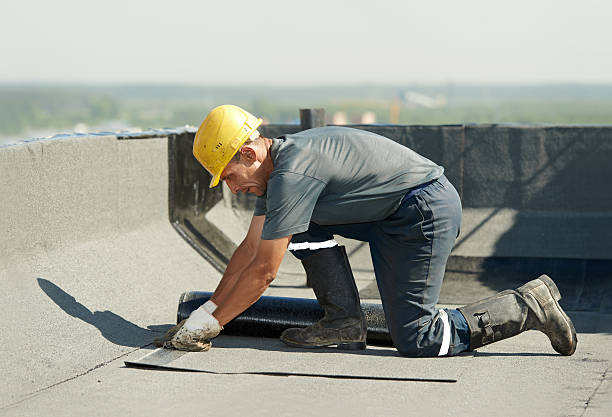 Best Cellulose Insulation in Heathrow, FL