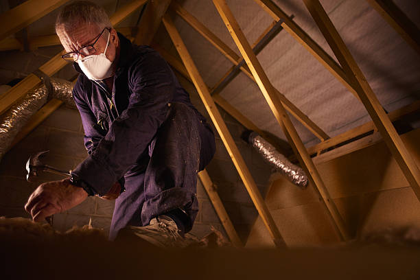 Types of Insulation We Offer in Heathrow, FL